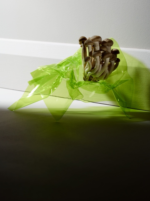 Rakes Progress Magazine – Sam Hofman