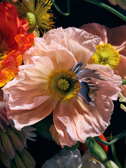 Flowers – Stephen and Rebecca